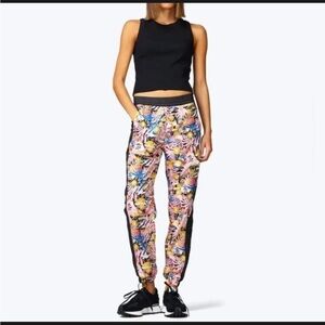 The North Face Hydrenaline Pants XXL  NWT